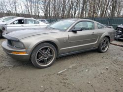 Ford Mustang Vehiculos salvage en venta: 2005 Ford Mustang