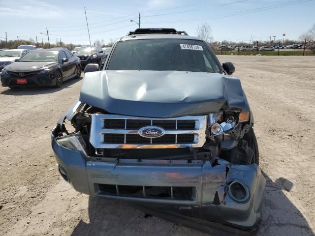 2012 Ford Escape XLT