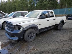 Salvage cars for sale from Copart Graham, WA: 2009 Dodge RAM 1500
