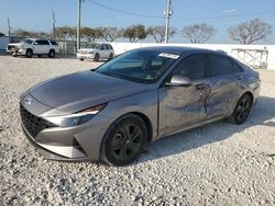 Salvage cars for sale at Homestead, FL auction: 2023 Hyundai Elantra SEL