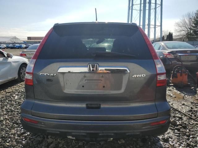 2010 Honda CR-V EXL