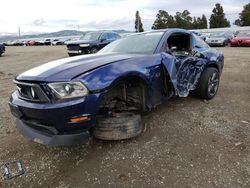Salvage cars for sale at Vallejo, CA auction: 2010 Ford Mustang GT
