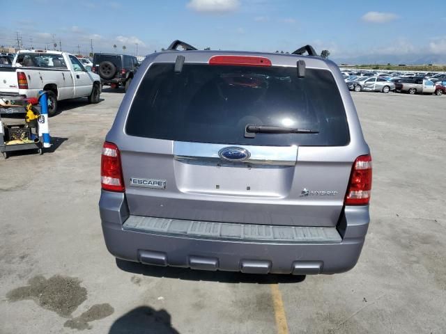 2008 Ford Escape HEV