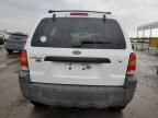 2007 Ford Escape XLT