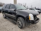 2012 Cadillac Escalade Premium