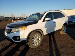 KIA Vehiculos salvage en venta: 2011 KIA Sorento EX