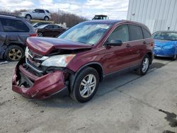 Honda salvage cars for sale: 2010 Honda CR-V EX