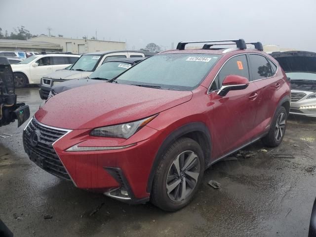 2020 Lexus NX 300H