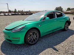 Salvage cars for sale from Copart Mentone, CA: 2019 Tesla Model 3