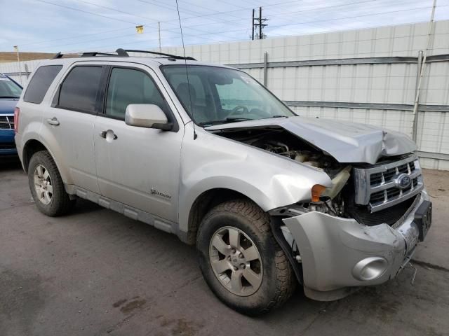 2009 Ford Escape Hybrid