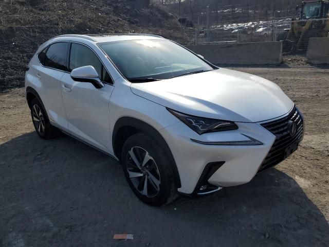 2020 Lexus NX 300H