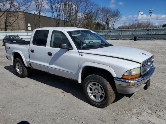 2004 Dodge Dakota Quad SLT