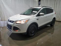 Salvage cars for sale at Central Square, NY auction: 2013 Ford Escape SE