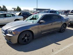 Dodge salvage cars for sale: 2013 Dodge Charger SE