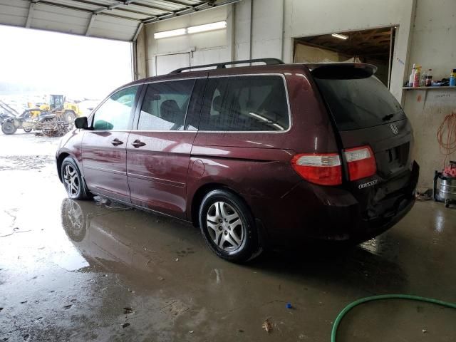 2007 Honda Odyssey EXL