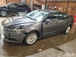 Ford salvage cars for sale: 2016 Ford Fusion SE Hybrid