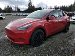 Salvage cars for sale at Graham, WA auction: 2023 Tesla Model Y