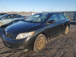 Salvage cars for sale at Ottawa, ON auction: 2010 Toyota Corolla Base