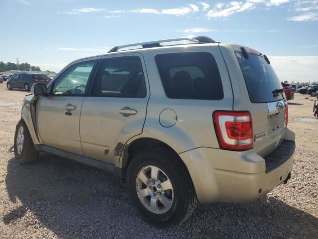 2012 Ford Escape Limited