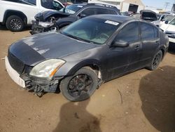 Salvage cars for sale at Brighton, CO auction: 2004 Nissan Maxima SE