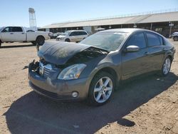 Salvage cars for sale at Phoenix, AZ auction: 2005 Nissan Maxima SE