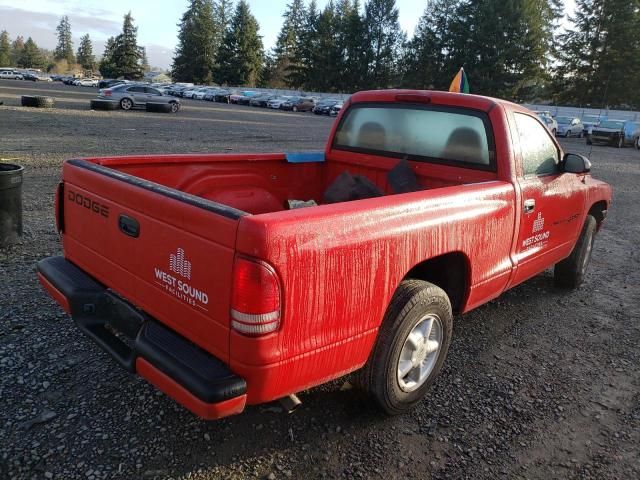 2000 Dodge Dakota