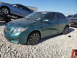Salvage cars for sale at Temple, TX auction: 2010 Toyota Corolla Base