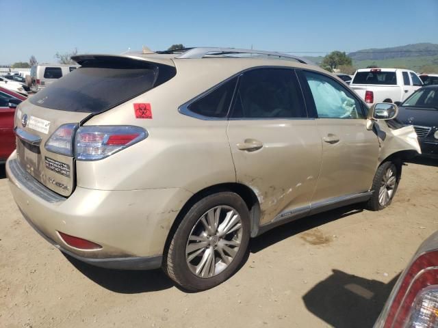 2010 Lexus RX 450