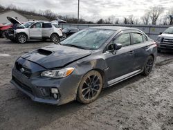 Salvage cars for sale at York Haven, PA auction: 2021 Subaru WRX Premium