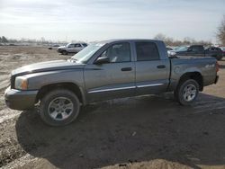Salvage cars for sale from Copart London, ON: 2007 Dodge Dakota Quattro