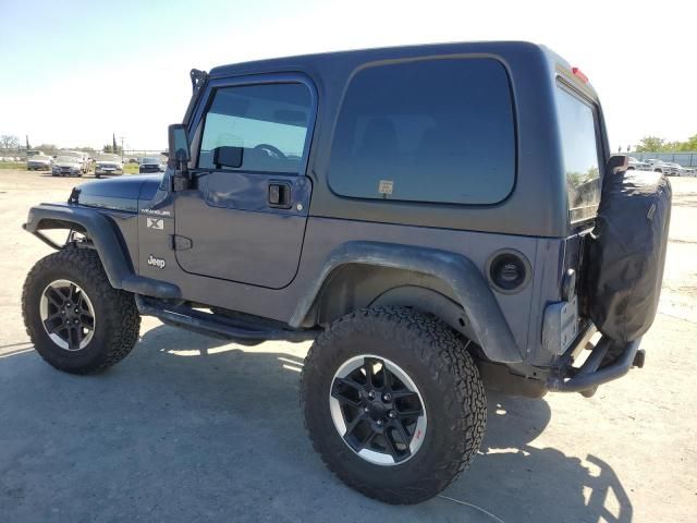 2002 Jeep Wrangler / TJ X