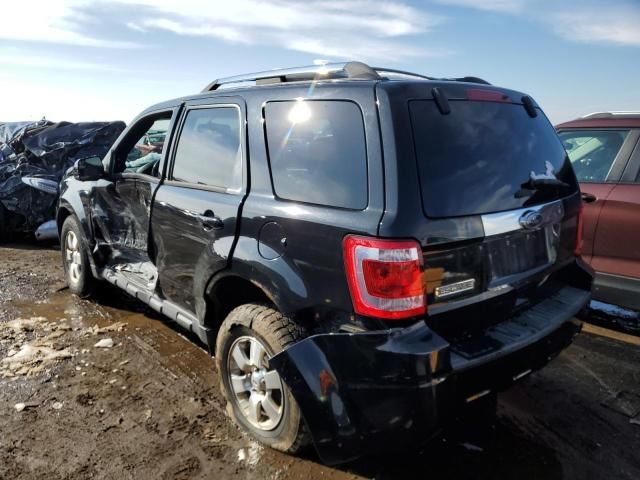 2011 Ford Escape Limited