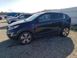 Salvage cars for sale from Copart Anderson, CA: 2015 KIA Sportage EX