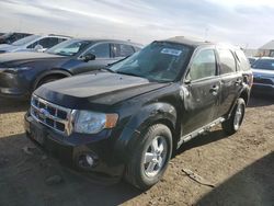 Salvage cars for sale at Brighton, CO auction: 2010 Ford Escape XLT