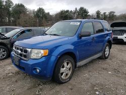 Ford Escape XLT salvage cars for sale: 2012 Ford Escape XLT