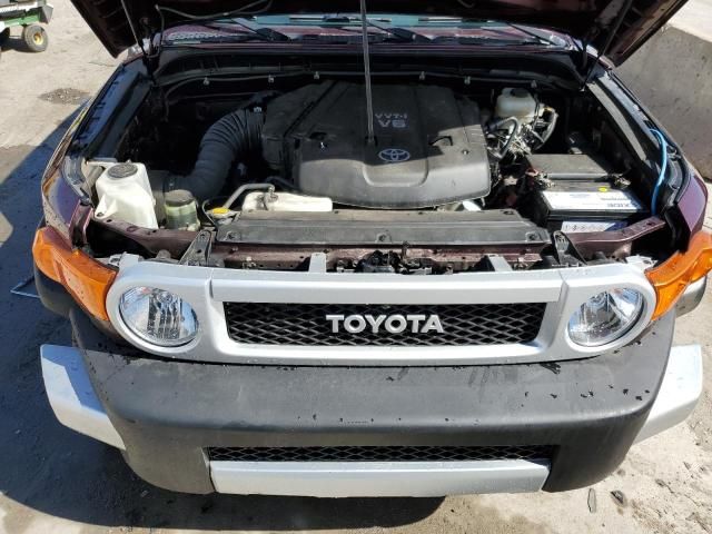 2007 Toyota FJ Cruiser