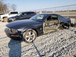 Salvage cars for sale at Cicero, IN auction: 2007 Ford Mustang