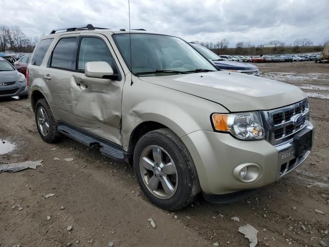 2011 Ford Escape Limited