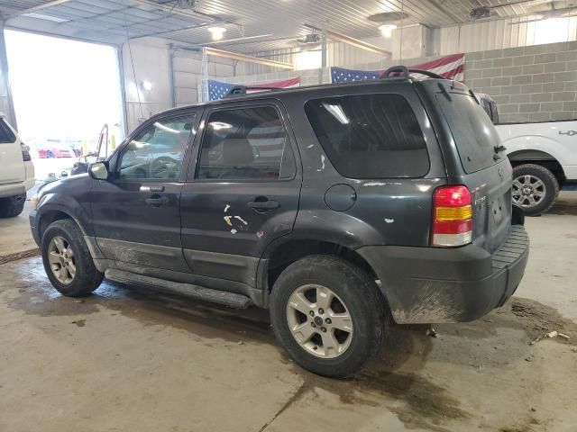 2005 Ford Escape XLT