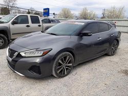 Salvage cars for sale from Copart Walton, KY: 2019 Nissan Maxima S