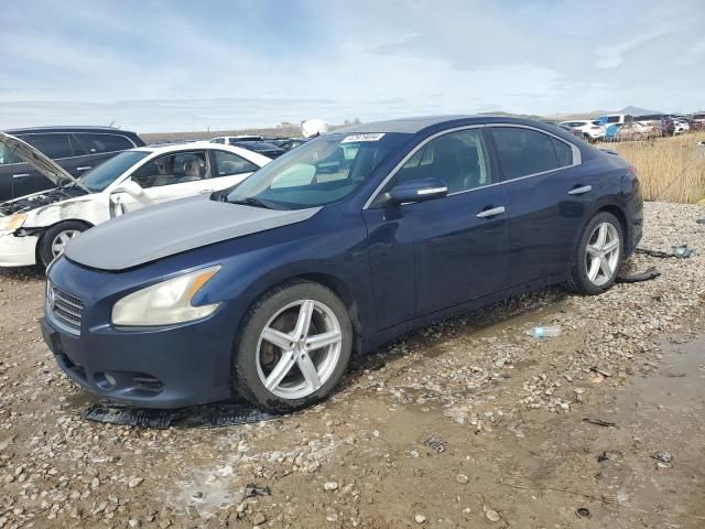 2009 Nissan Maxima S