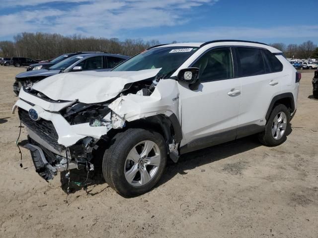 2019 Toyota Rav4 XLE