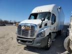 2015 Freightliner Cascadia 113