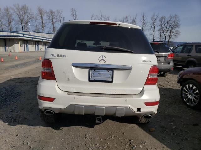 2010 Mercedes-Benz ML 550 4matic