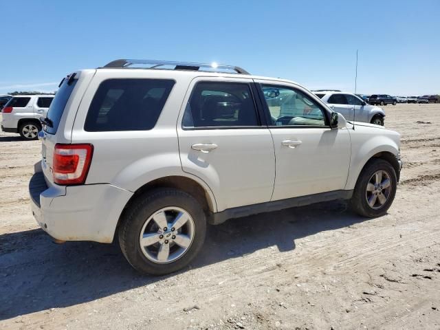 2011 Ford Escape Limited