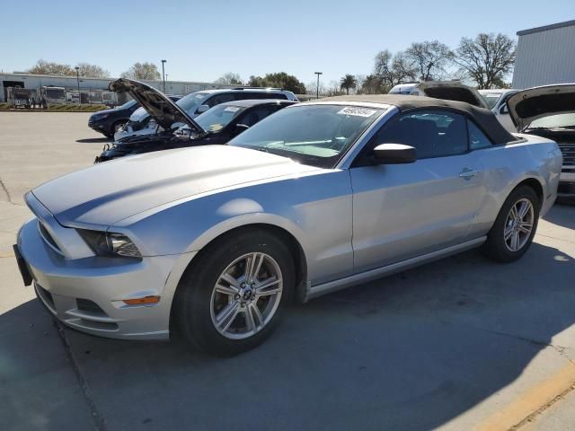 2013 Ford Mustang