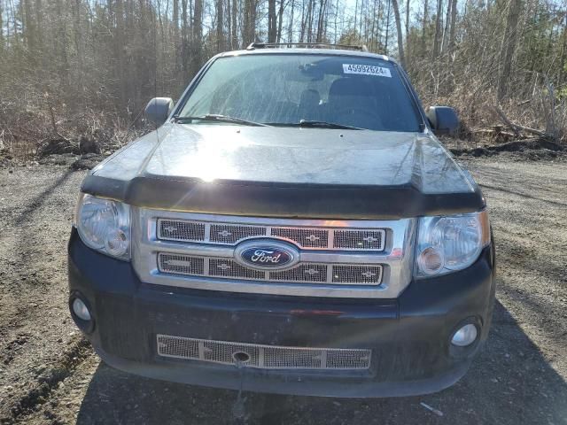 2012 Ford Escape XLT