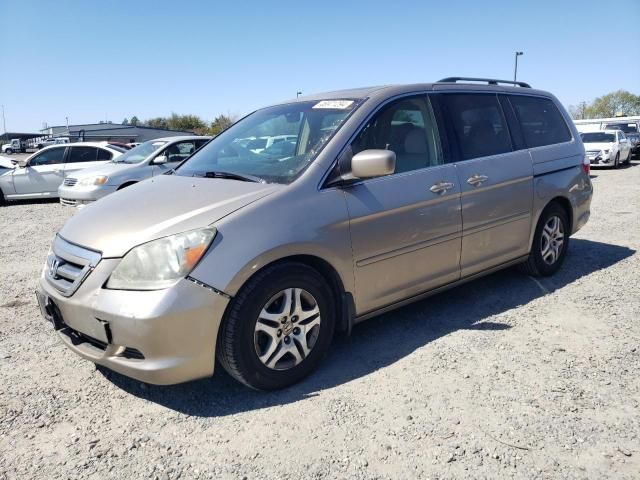 2006 Honda Odyssey EXL