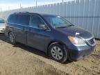 2010 Honda Odyssey EX