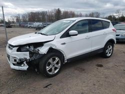 Salvage cars for sale at Chalfont, PA auction: 2013 Ford Escape SE